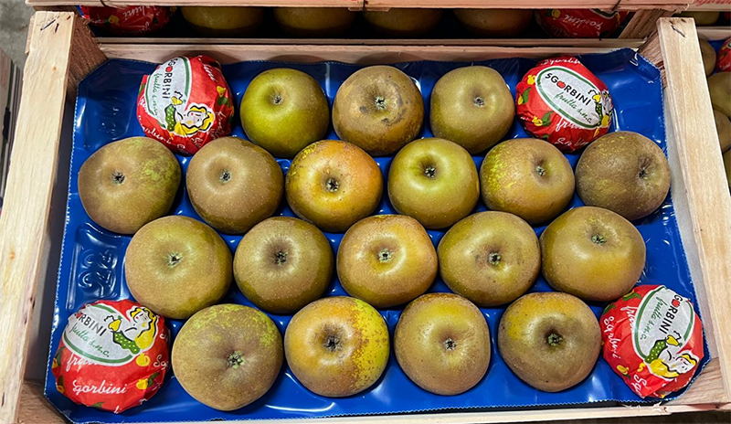 Mele Renetta Origine Italia Cal. 80+ prezzo 1,70-1,80 euro al chilo